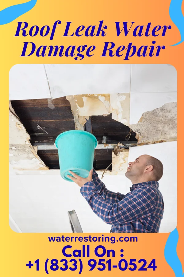 Roof Leak Water Damage Repair in English, IN