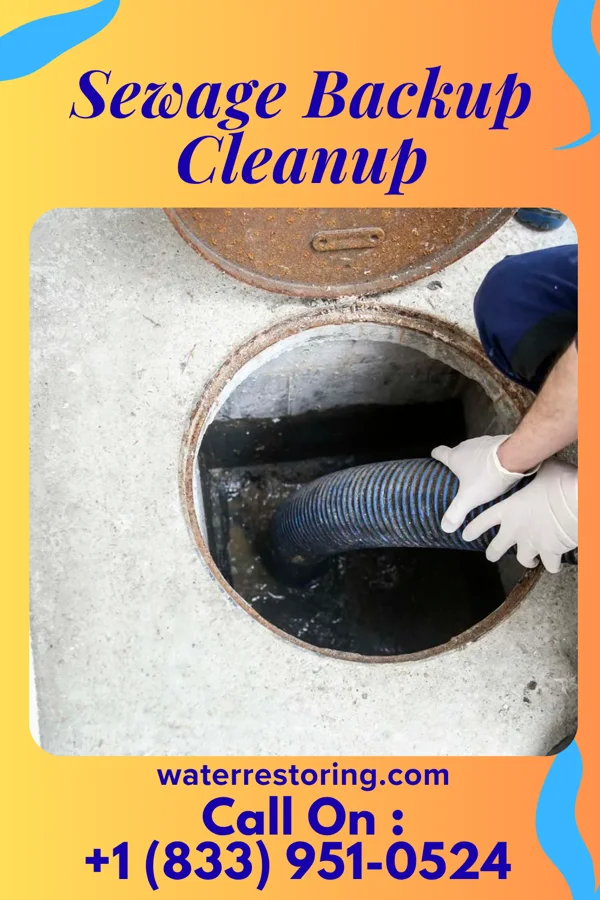Sewage Backup Cleanup in English, IN