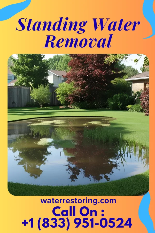 Standing Water Removal in English, IN
